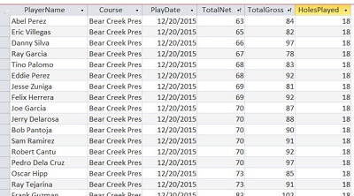 Total Gross and Net scores for all players for all holes